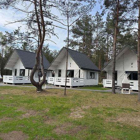 Вілла Skrawek Nieba Борськ Екстер'єр фото