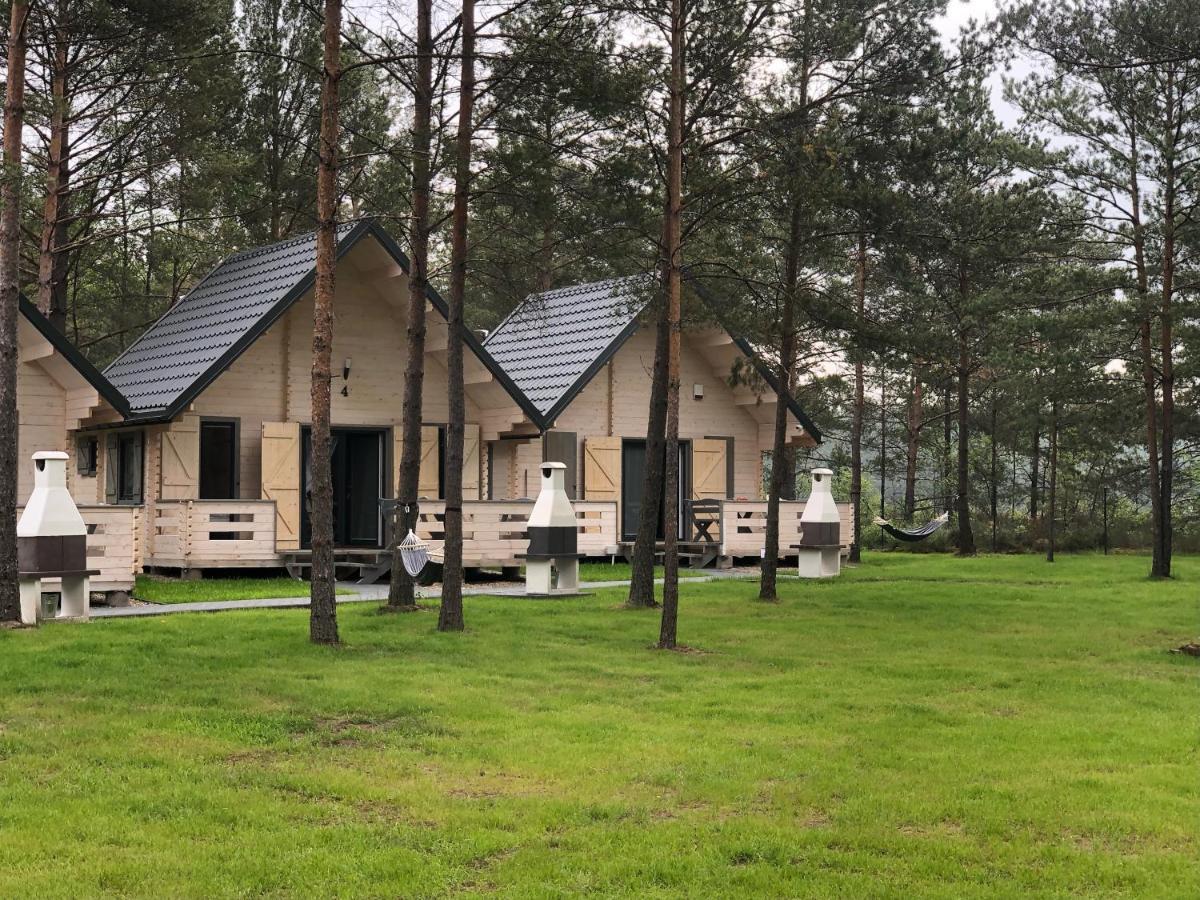 Вілла Skrawek Nieba Борськ Екстер'єр фото