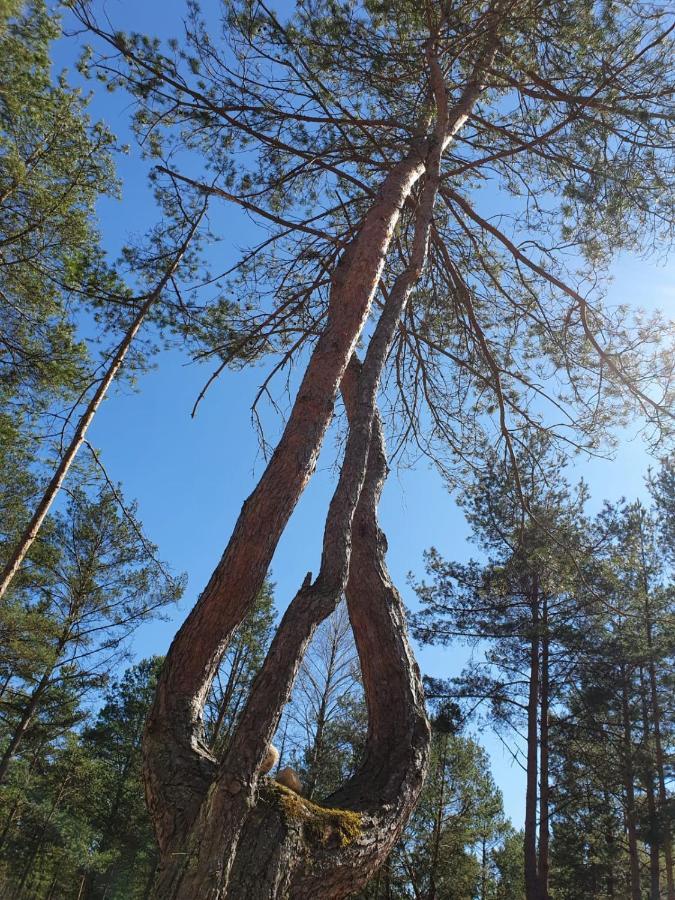 Вілла Skrawek Nieba Борськ Екстер'єр фото